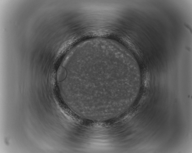 X0000100190736200806201357