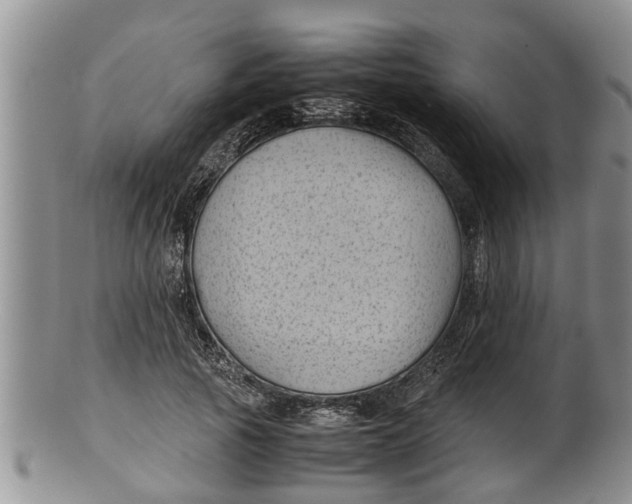 X0000100190737200806201357