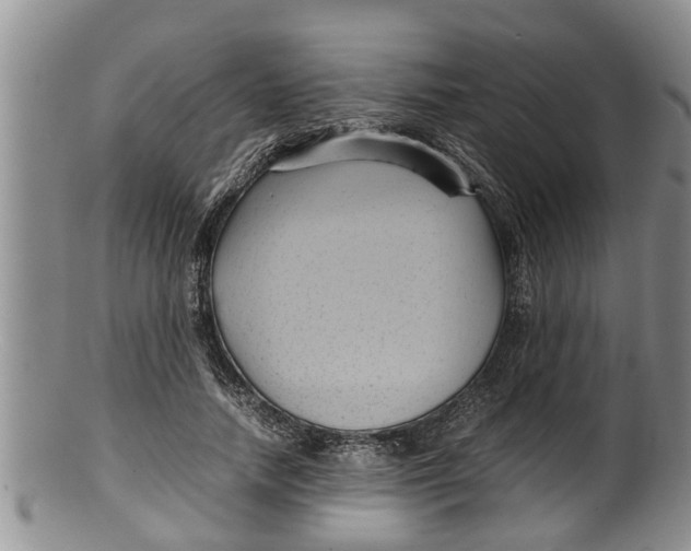 X0000100190738200806201357