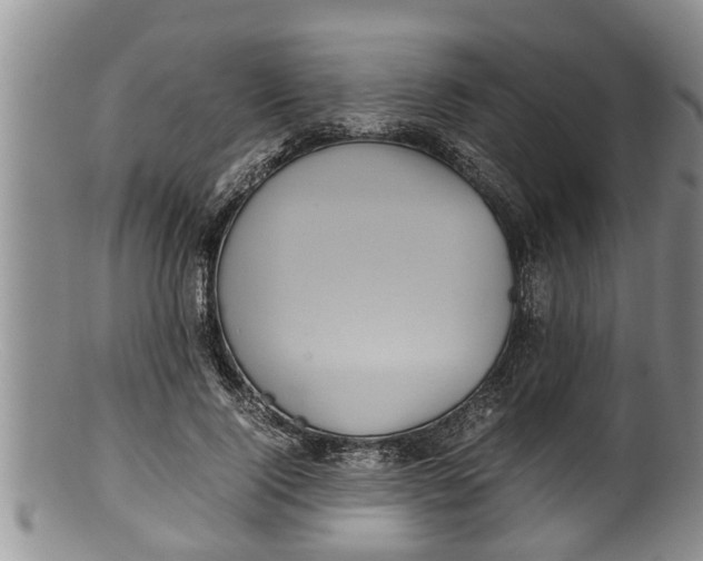 X0000100190740200806201357