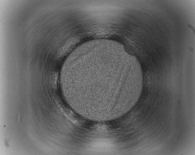 X0000100190742200806201357