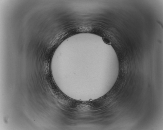 X0000100190743200806201357