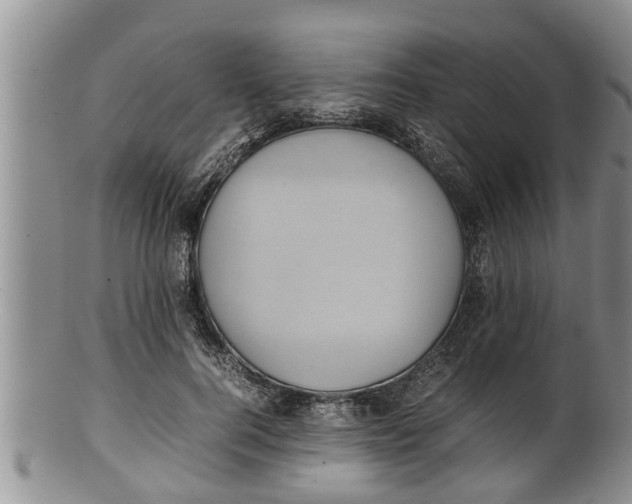 X0000100190744200806201357