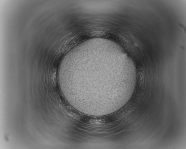 X0000100190745200806201357