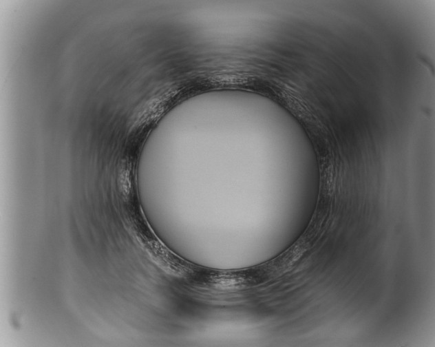 X0000100190746200806201357