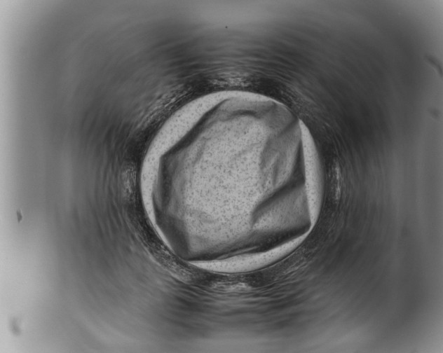 X0000100190747200806201357