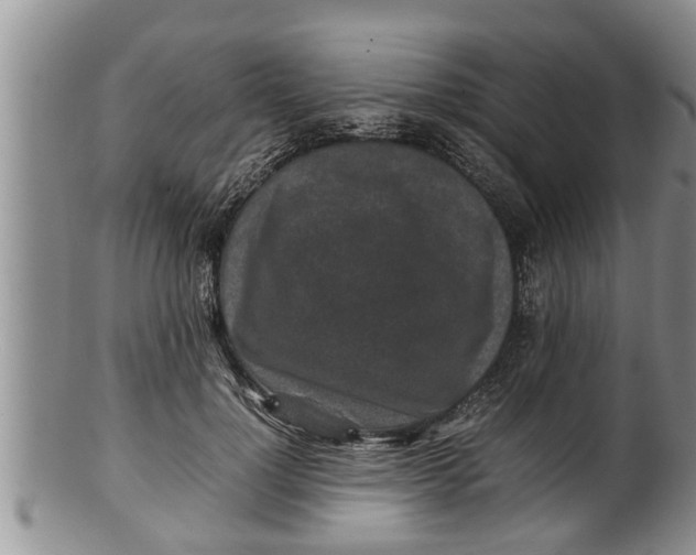 X0000100190748200806201357