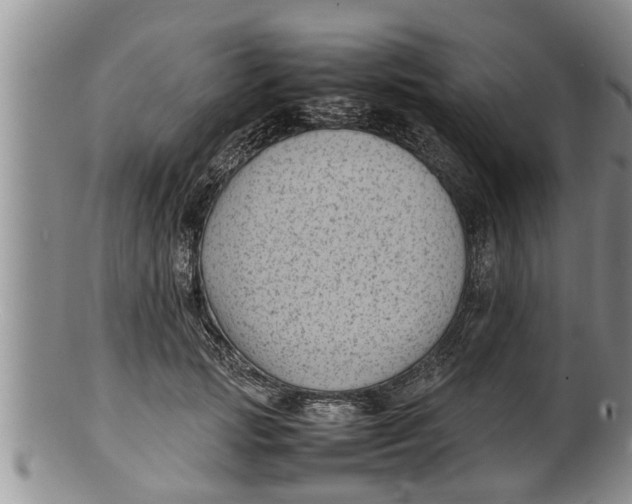 X0000100190749200806201357