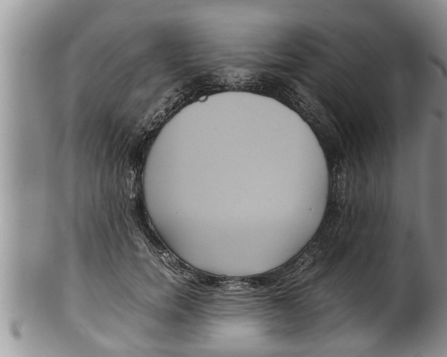 X0000100190750200806201357
