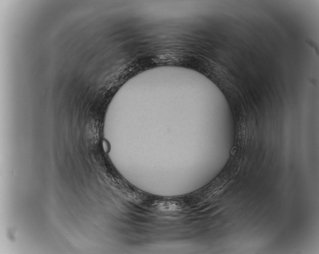 X0000100190751200806201357