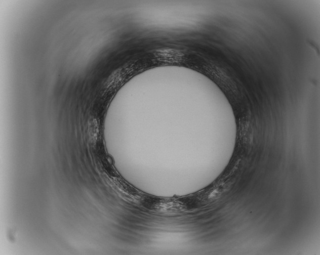 X0000100190752200806201357