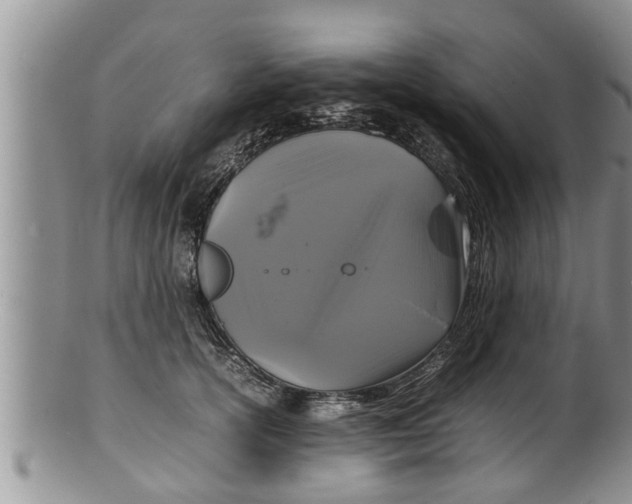 X0000100190754200806201357