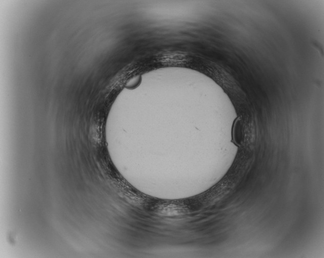 X0000100190755200806201357