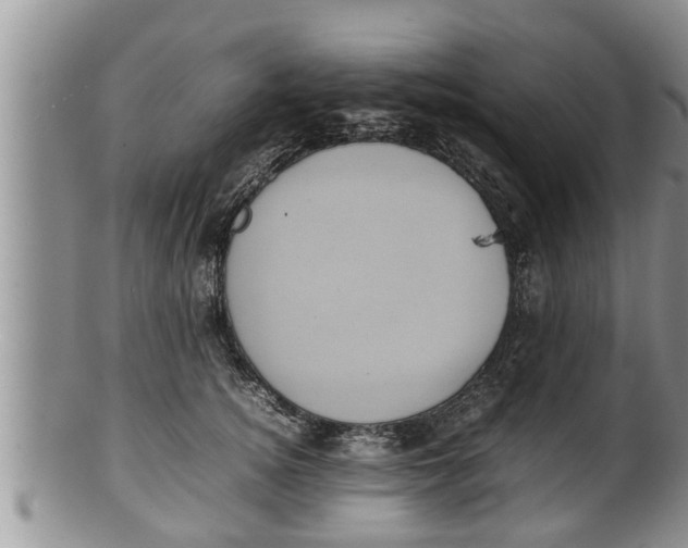 X0000100190756200806201357