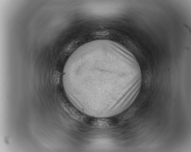 X0000100190758200806201357