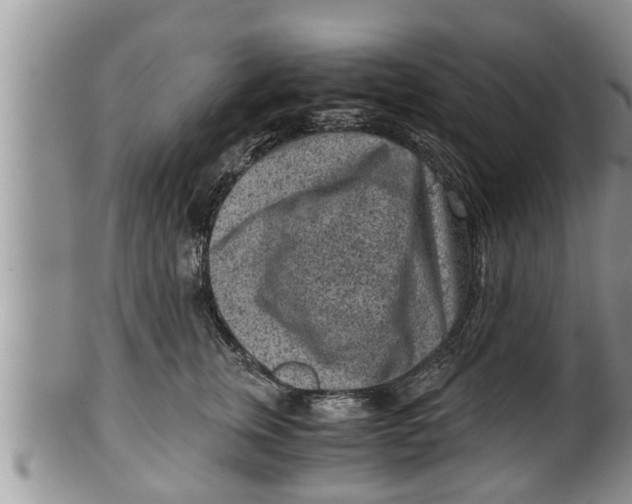 X0000100190759200806201357