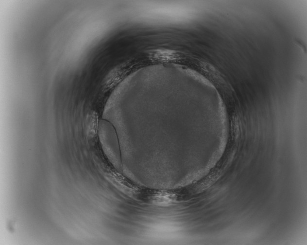 X0000100190760200806201357