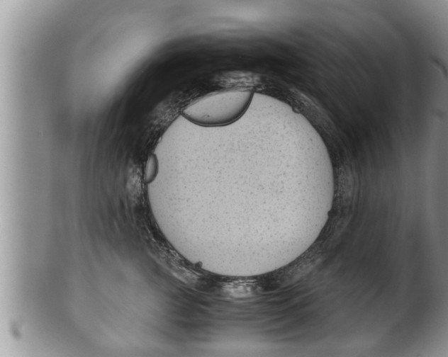 X0000100190761200806201357