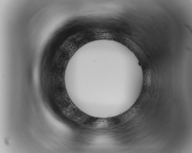 X0000100190764200806201357