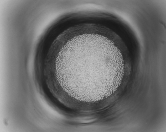 X0000100190765200806201357