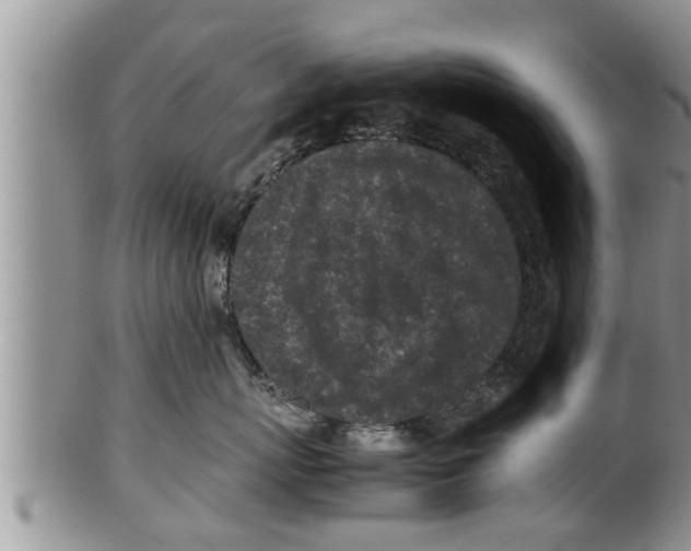 X0000100190767200806201357