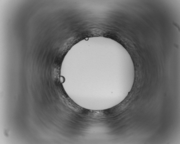 X0000100190768200806201357