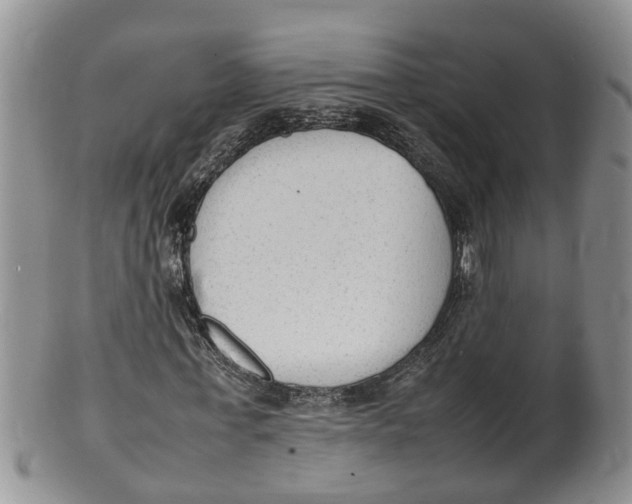 X0000100190771200806201356