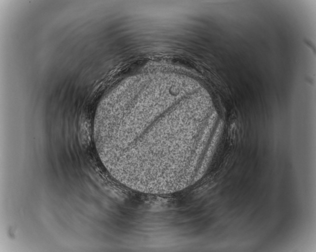 X0000100190772200806201356