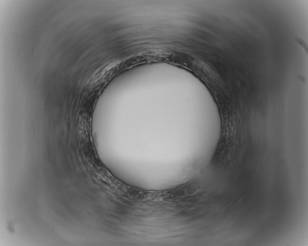 X0000100190773200806201356