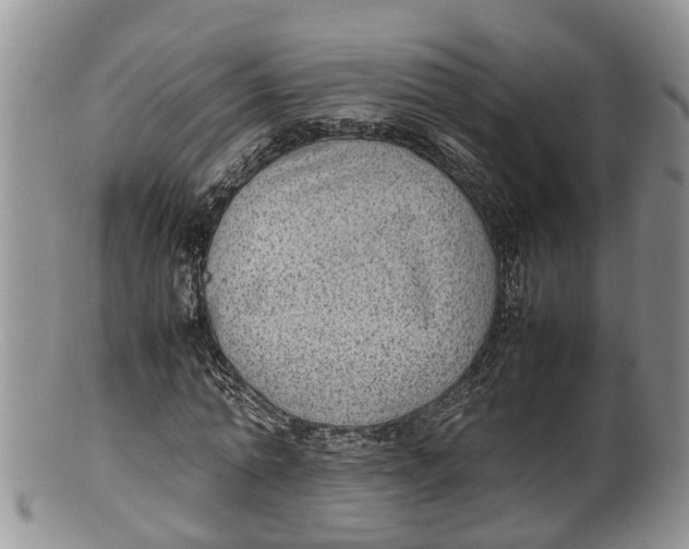 X0000100190774200806201356