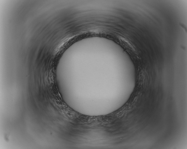 X0000100190776200806201356