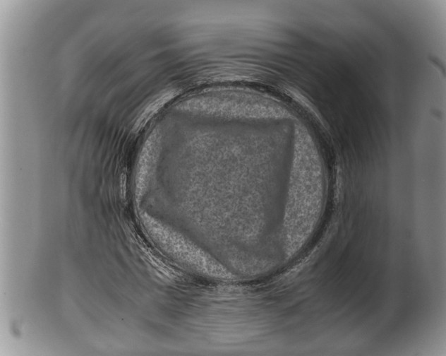 X0000100190777200806201356