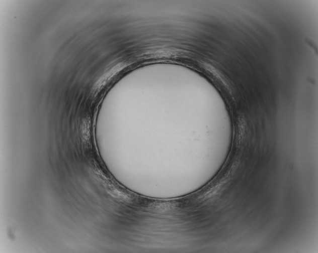 X0000100190778200806201356