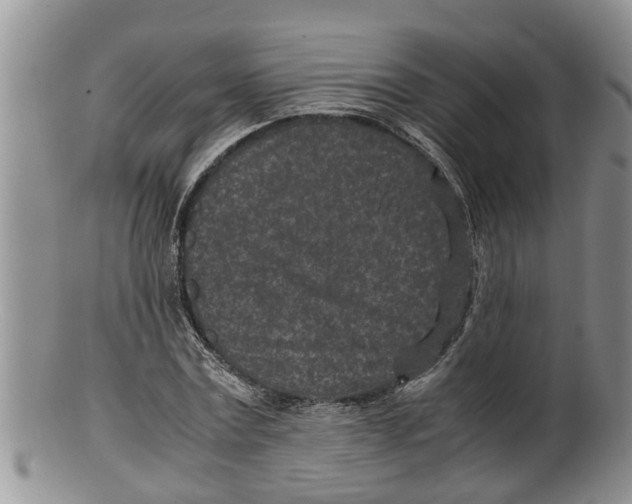X0000100190779200806201356
