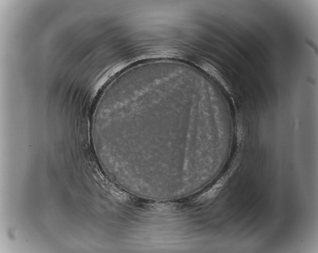 X0000100190781200806201356
