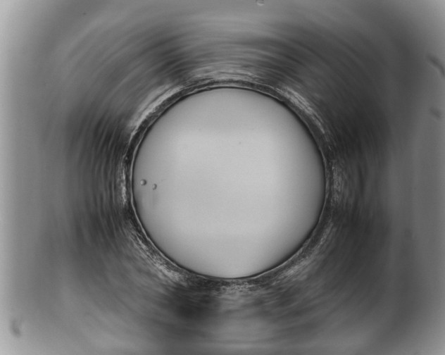 X0000100190782200806201356