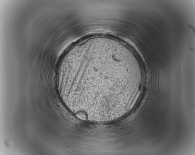 X0000100190783200806201356