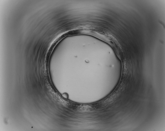 X0000100190784200806201356