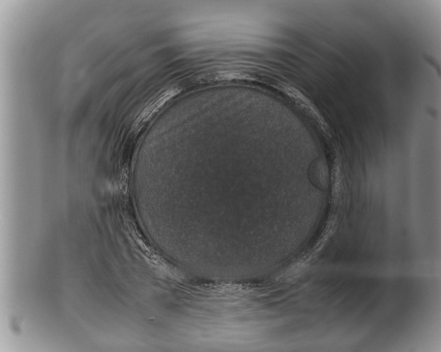 X0000100190785200806201356