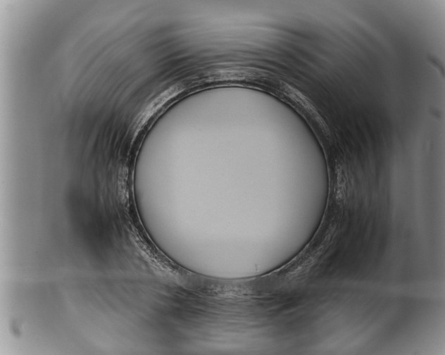 X0000100190786200806201356