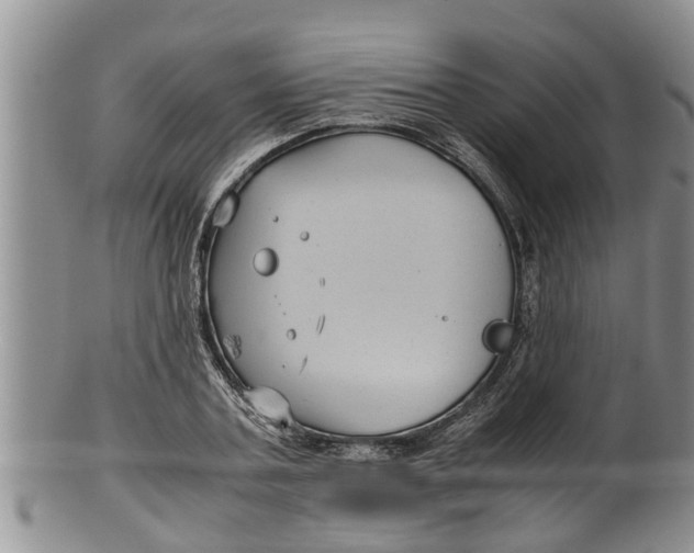 X0000100190787200806201356