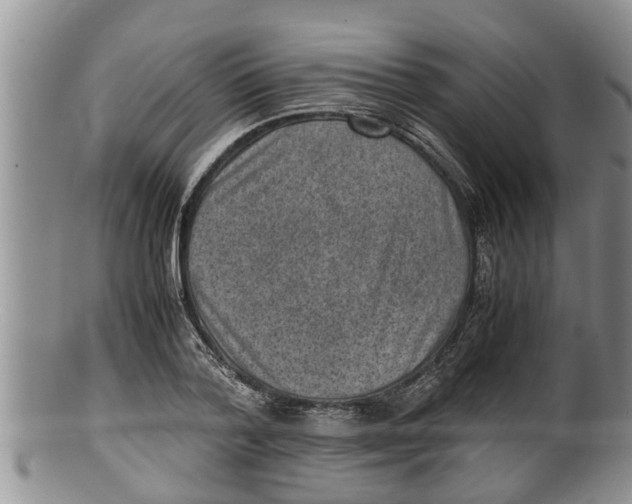 X0000100190788200806201356
