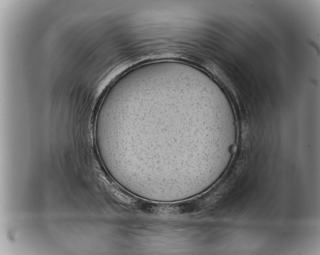 X0000100190789200806201356