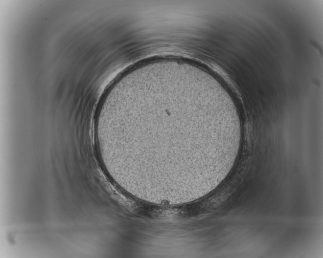 X0000100190791200806201356