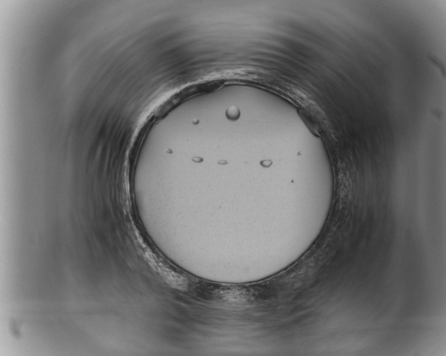 X0000100190792200806201356
