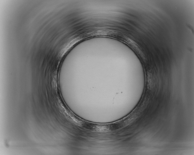X0000100190794200806201356