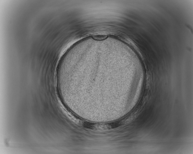 X0000100190795200806201356
