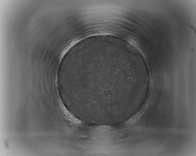 X0000100190797200806201356