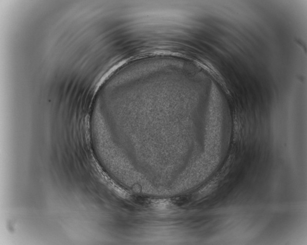 X0000100190798200806201356