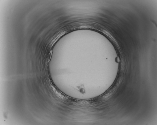 X0000100190801200806201356